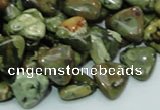 CPS31 15.5 inches 12*12mm triangle green peacock stone beads