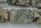 CPT131 15.5 inches 20*30mm faceted rectangle grey picture jasper beads