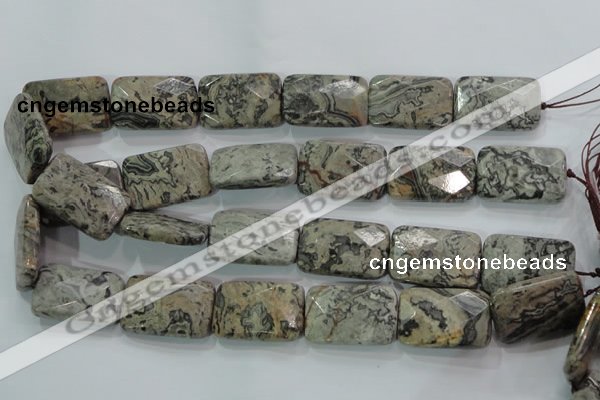 CPT131 15.5 inches 20*30mm faceted rectangle grey picture jasper beads