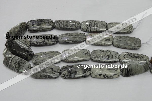 CPT132 15.5 inches 20*40mm faceted rectangle grey picture jasper beads