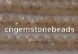CRB210 15.5 inches 3*4mm faceted rondelle moonstone beads