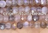 CRB2219 15.5 inches 2*3mm faceted rondelle moonstone beads