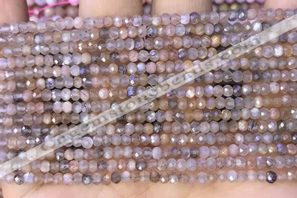 CRB2219 15.5 inches 2*3mm faceted rondelle moonstone beads