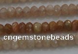 CRB224 15.5 inches 2.5*4mm faceted rondelle moonstone beads