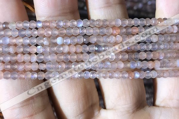 CRB2620 15.5 inches 2*3mm faceted rondelle moonstone beads