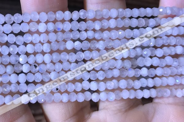 CRB2623 15.5 inches 2*3mm faceted rondelle white moonstone beads