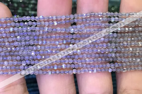 CRB2660 15.5 inches 1.5*2mm faceted rondelle labradorite beads