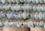 CRB4001 15.5 inches 2.5*4.5mm rondelle labradorite beads wholesale