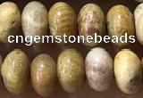 CRB5321 15.5 inches 4*6mm rondelle fossil coral beads wholesale