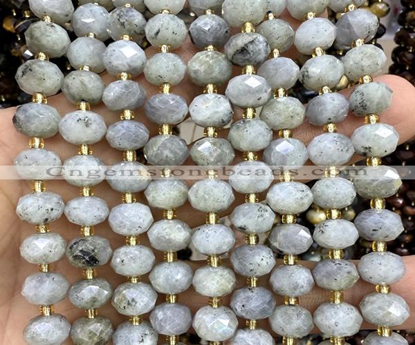 CRB6381 15 inches 6*10mm faceted rondelle labradorite beads