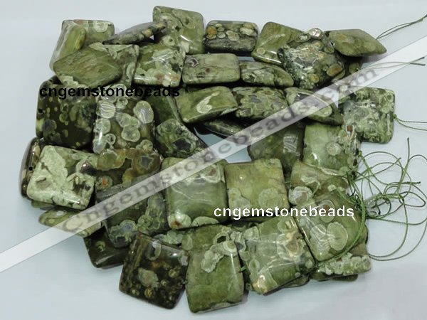 CRH20 15.5 inches 30*30mm square rhyolite beads wholesale