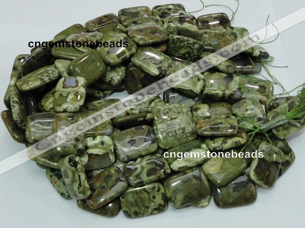 CRH28 15.5 inches 22*30mm rectangle rhyolite beads wholesale