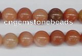 CRJ202 15.5 inches 10mm round natural red jade gemstone beads