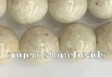 CRJ623 15.5 inches 10mm round white fossil jasper beads wholesale