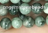 CRM201 15.5 inches 6mm round green mud jasper beads wholesale