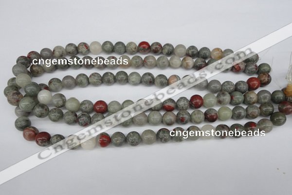 CRO190 15.5 inches 10mm round bloodstone beads wholesale