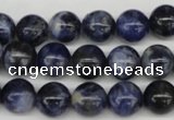 CRO239 15.5 inches 10mm round sodalite gemstone beads wholesale