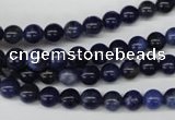 CRO34 15.5 inches 6mm round sodalite gemstone beads wholesale