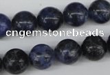 CRO344 15.5 inches 12mm round sodalite gemstone beads wholesale