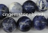 CRO423 15.5 inches 16mm round sodalite gemstone beads wholesale