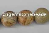 CRO485 15.5 inches 18mm round picture jasper beads wholesale