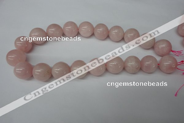 CRO545 15.5 inches 20mm round rose quartz beads wholesale