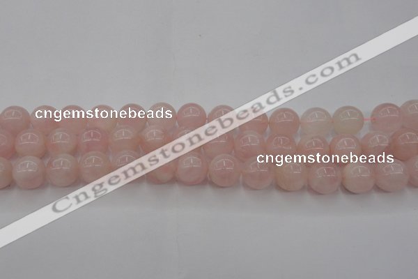 CRQ672 15.5 inches 10mm round rose quartz beads wholesale