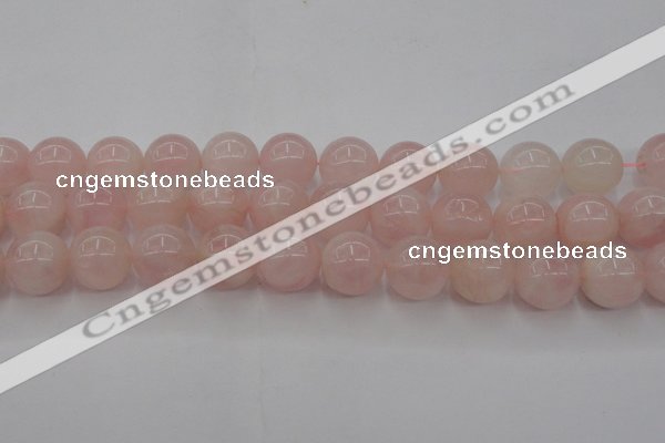 CRQ674 15.5 inches 14mm round rose quartz beads wholesale