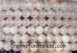 CRQ925 15 inches 10mm round natural rose quartz beads wholesale