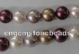 CSB1059 15.5 inches 10mm round mixed color shell pearl beads