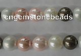 CSB1065 15.5 inches 10mm round mixed color shell pearl beads