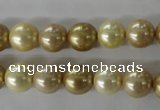 CSB1069 15.5 inches 10mm round mixed color shell pearl beads