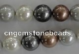 CSB1084 15.5 inches 12mm round mixed color shell pearl beads