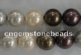 CSB1088 15.5 inches 12mm round mixed color shell pearl beads