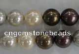 CSB1088 15.5 inches 12mm round mixed color shell pearl beads