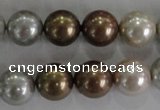 CSB1091 15.5 inches 12mm round mixed color shell pearl beads