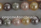 CSB1093 15.5 inches 12mm round mixed color shell pearl beads