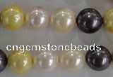 CSB1101 15.5 inches 12mm round mixed color shell pearl beads