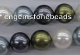 CSB1124 15.5 inches 14mm round mixed color shell pearl beads