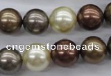 CSB1133 15.5 inches 14mm round mixed color shell pearl beads