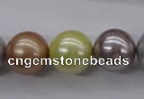 CSB1155 15.5 inches 16mm round mixed color shell pearl beads