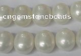 CSB136 15.5 inches 12*15mm – 13*16mm oval shell pearl beads