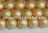 CSB1383 15.5 inches 10mm matte round shell pearl beads wholesale