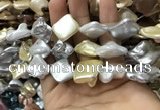 CSB2168 15.5 inches 16*16mm - 18*20mm baroque mixed shell pearl beads