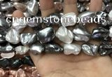 CSB2179 15.5 inches 16*16mm - 20*22mm baroque mixed shell pearl beads