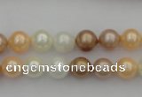 CSB311 15.5 inches 8mm round mixed color shell pearl beads