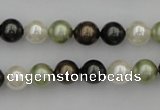 CSB314 15.5 inches 8mm round mixed color shell pearl beads