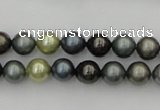 CSB316 15.5 inches 8mm round mixed color shell pearl beads