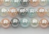 CSB336 15.5 inches 10mm round mixed color shell pearl beads