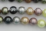 CSB339 15.5 inches 10mm round mixed color shell pearl beads